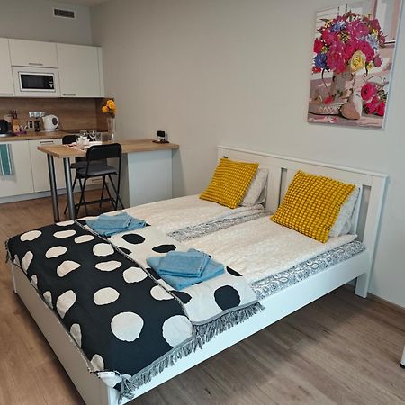 Comfort Flat With Great Location Praha Exteriér fotografie
